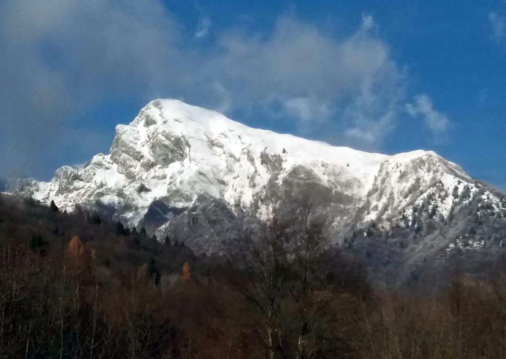 B&B Tisoi Belluno Bagian luar foto