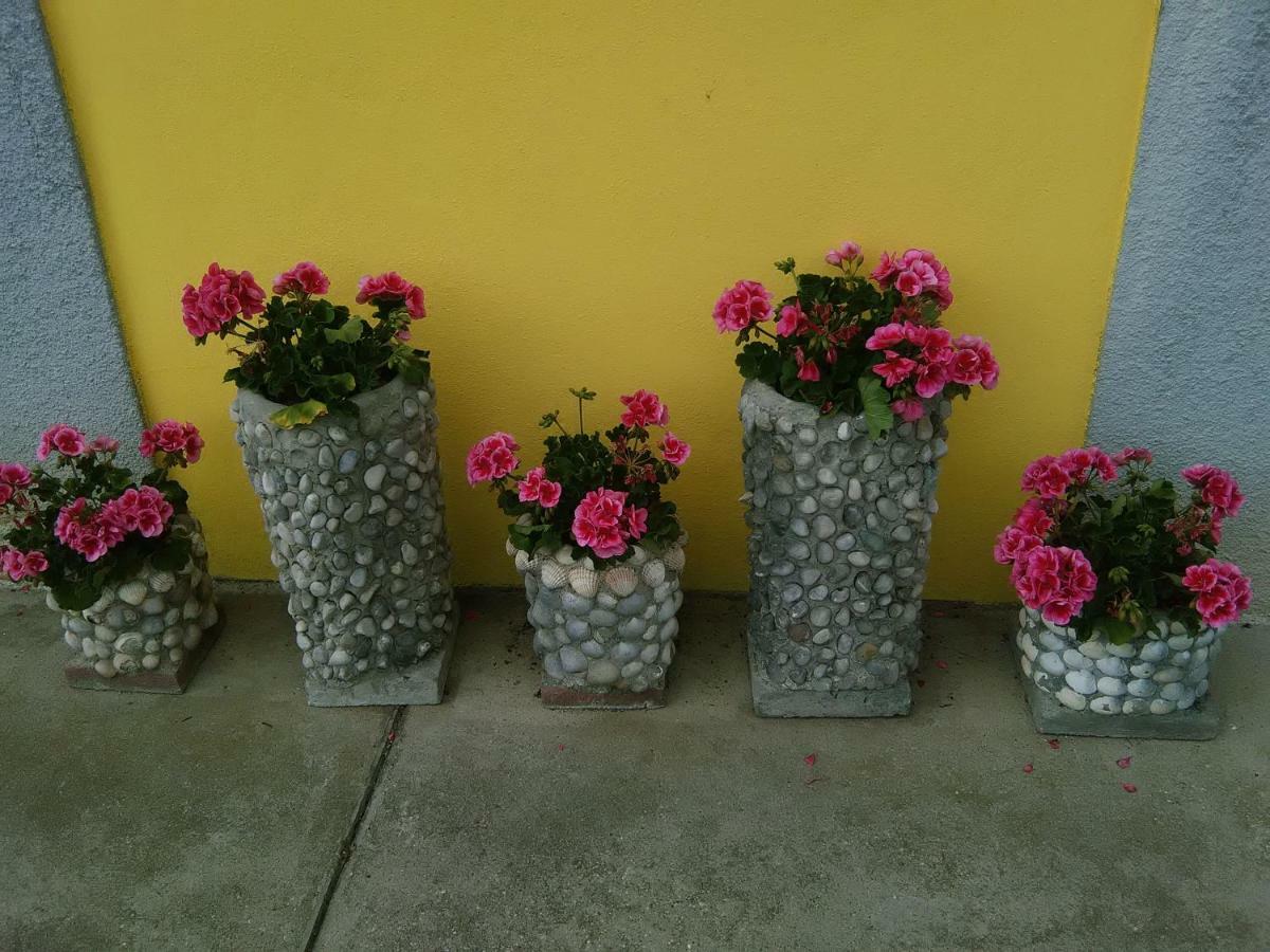 B&B Tisoi Belluno Bagian luar foto